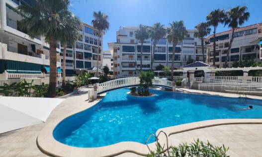 Appartement - Bestaand - La Mata - Los Europeos