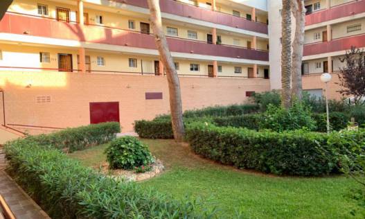 Appartement - Bestaand - Mil Palmeras - Alicante