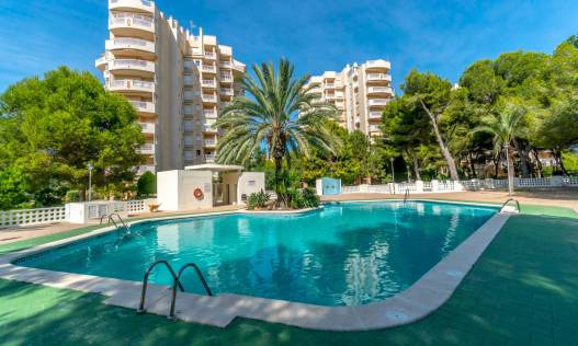 Appartement - Bestaand - Orihuela - Campoamor