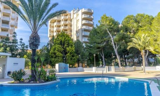 Appartement - Bestaand - Orihuela Costa - Altos de Campoamor