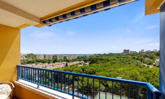 Appartement - Bestaand - Orihuela Costa - Campoamor