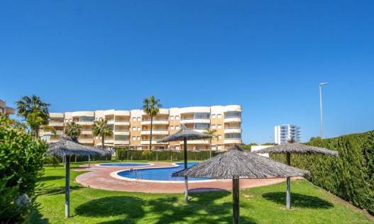 Appartement - Bestaand - Orihuela Costa - Campoamor