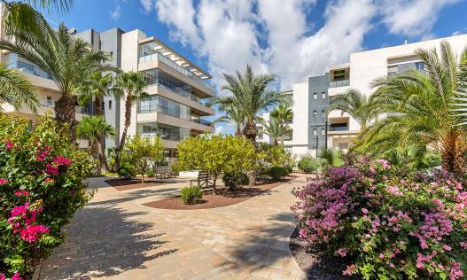 Appartement - Bestaand - Orihuela Costa - Orihuela Costa