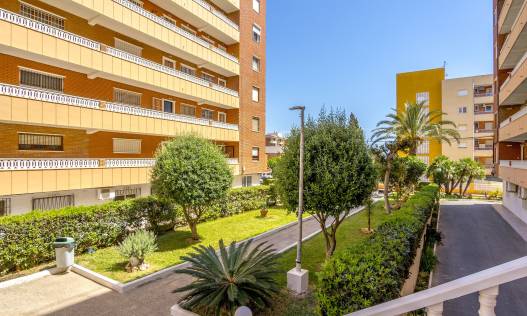 Appartement - Bestaand - Punta Prima - Punta Prima