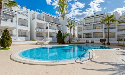 Appartement - Bestaand - Torrevieja - Torrevieja