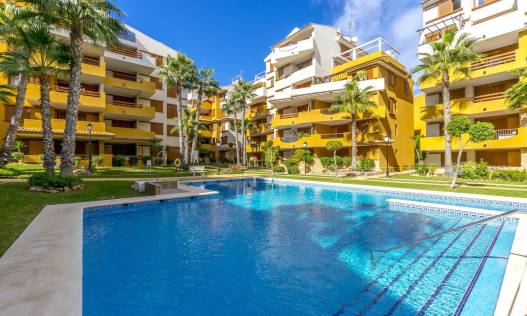Appartement - Bestaand - Torrevieja - Torrevieja