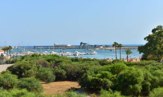 Appartement - Bestaand - Torrevieja - Torrevieja