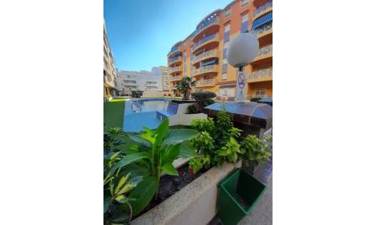 Appartement - Bestaand - Torrevieja - Torrevieja
