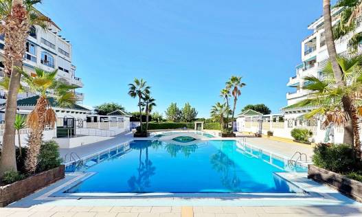 Appartement - Bestaand - Torrevieja - Torrevieja