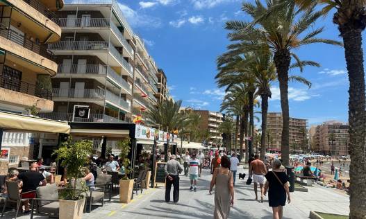 Appartement - Vakantie verhuur - Torrevieja - Torrevieja