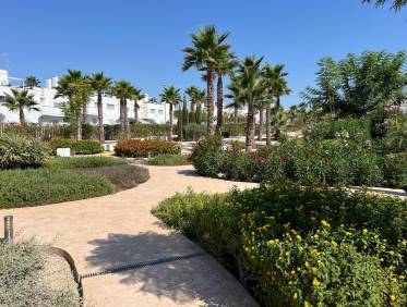 Bestaand - Apartment - Flat - Orihuela Costa - Entre Naranjos Vistabella Golf