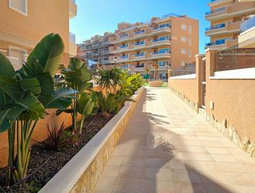Bestaand - Appartement - El Raso