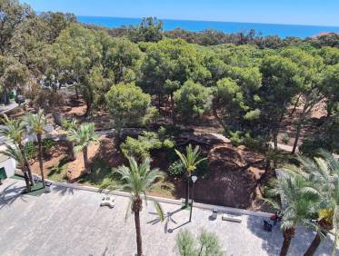 Bestaand - Appartement - Guardamar del segura