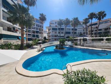 Bestaand - Appartement - La Mata - Los Europeos