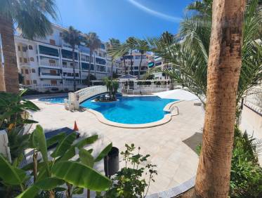Bestaand - Appartement - La Mata - Los Europeos
