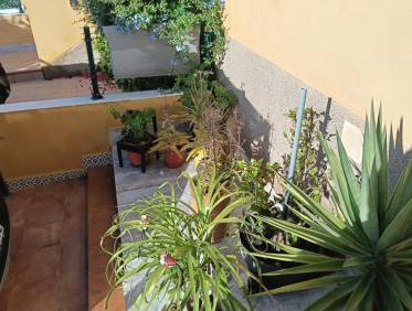 Bestaand - Appartement - Los Montesinos - La Herrada
