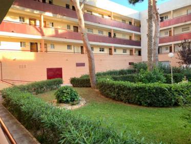 Bestaand - Appartement - Mil Palmeras - Alicante