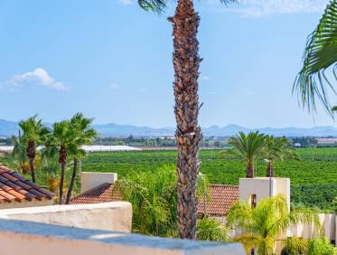 Bestaand - Appartement - San Javier - Roda Golf