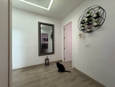 Bestaand - Appartement - Torrevieja - Centro