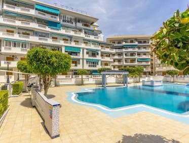 Bestaand - Appartement - Torrevieja - Los Europeos