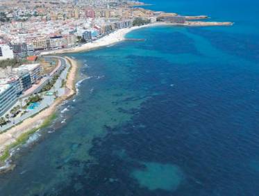 Bestaand - Appartement - Torrevieja - Playa del cura