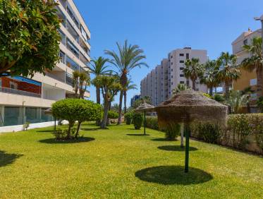 Bestaand - Appartement - Torrevieja - Rocio del Mar