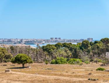 Bestaand - Appartement - Torrevieja