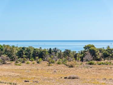 Bestaand - Appartement - Torrevieja