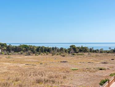 Bestaand - Appartement - Torrevieja