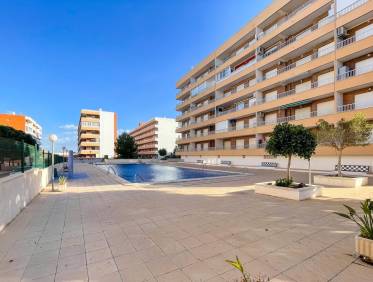 Bestaand - Appartement - Torrevieja