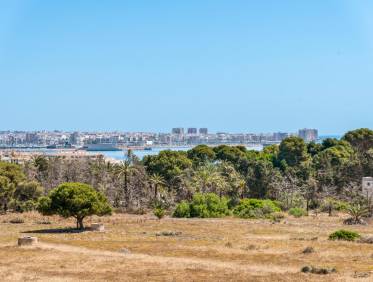 Bestaand - Appartement - Torrevieja