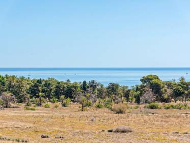 Bestaand - Appartement - Torrevieja