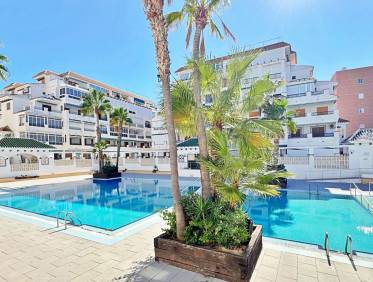 Bestaand - Appartement - Torrevieja