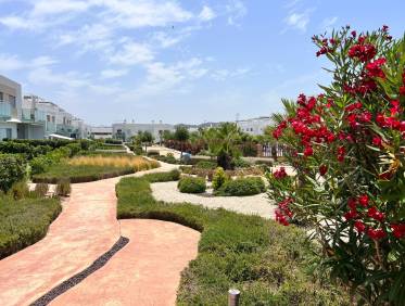 Bestaand - Appartement - Vistabella Golf - Entre Naranjos Vistabella Golf