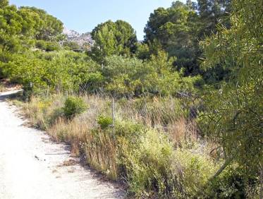 Bestaand - Bouwperceel - Altea - Altea Hills