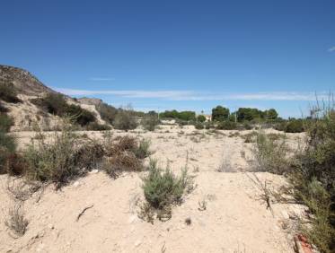 Bestaand - Bouwperceel - Aspe - Pedanías Oeste