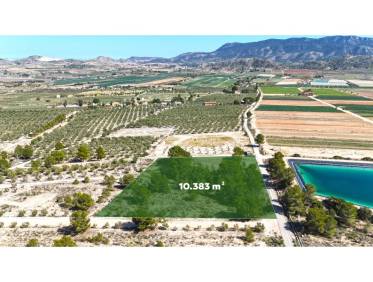 Bestaand - Bouwperceel - Hondón de las Nieves - Hondón de las Nieves / el Fondó de les Neus