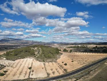 Bestaand - Bouwperceel - La Zarza