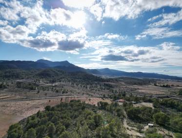 Bestaand - Bouwperceel - La Zarza