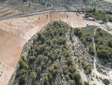 Bestaand - Bouwperceel - La Zarza