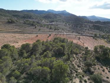 Bestaand - Bouwperceel - La Zarza