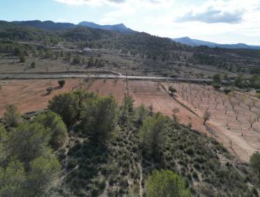 Bestaand - Bouwperceel - La Zarza