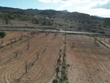 Bestaand - Bouwperceel - La Zarza