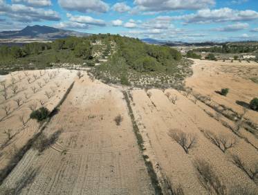 Bestaand - Bouwperceel - La Zarza