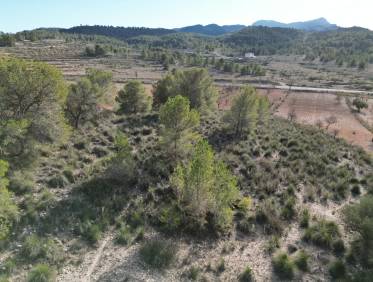 Bestaand - Bouwperceel - La Zarza