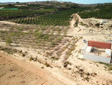 Bestaand - Bouwperceel - Torremendo - Torremendo - Country