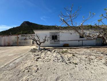 Bestaand - Finca - Aspe - Pedanías Oeste