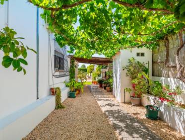 Bestaand - Finca - Benijófar