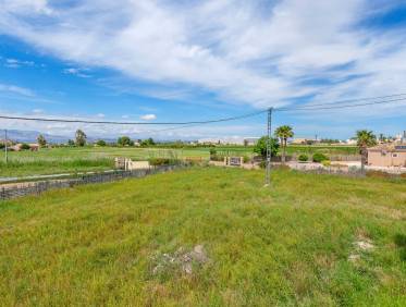 Bestaand - Finca - Callosa De Segura