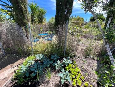 Bestaand - Finca Country Property - Cartagena